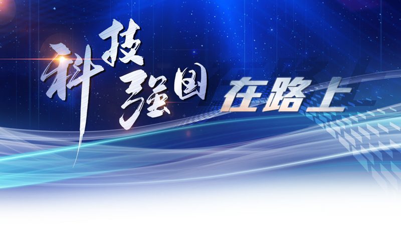 电商SaaS平台搭建：从架构到实施的关键步骤